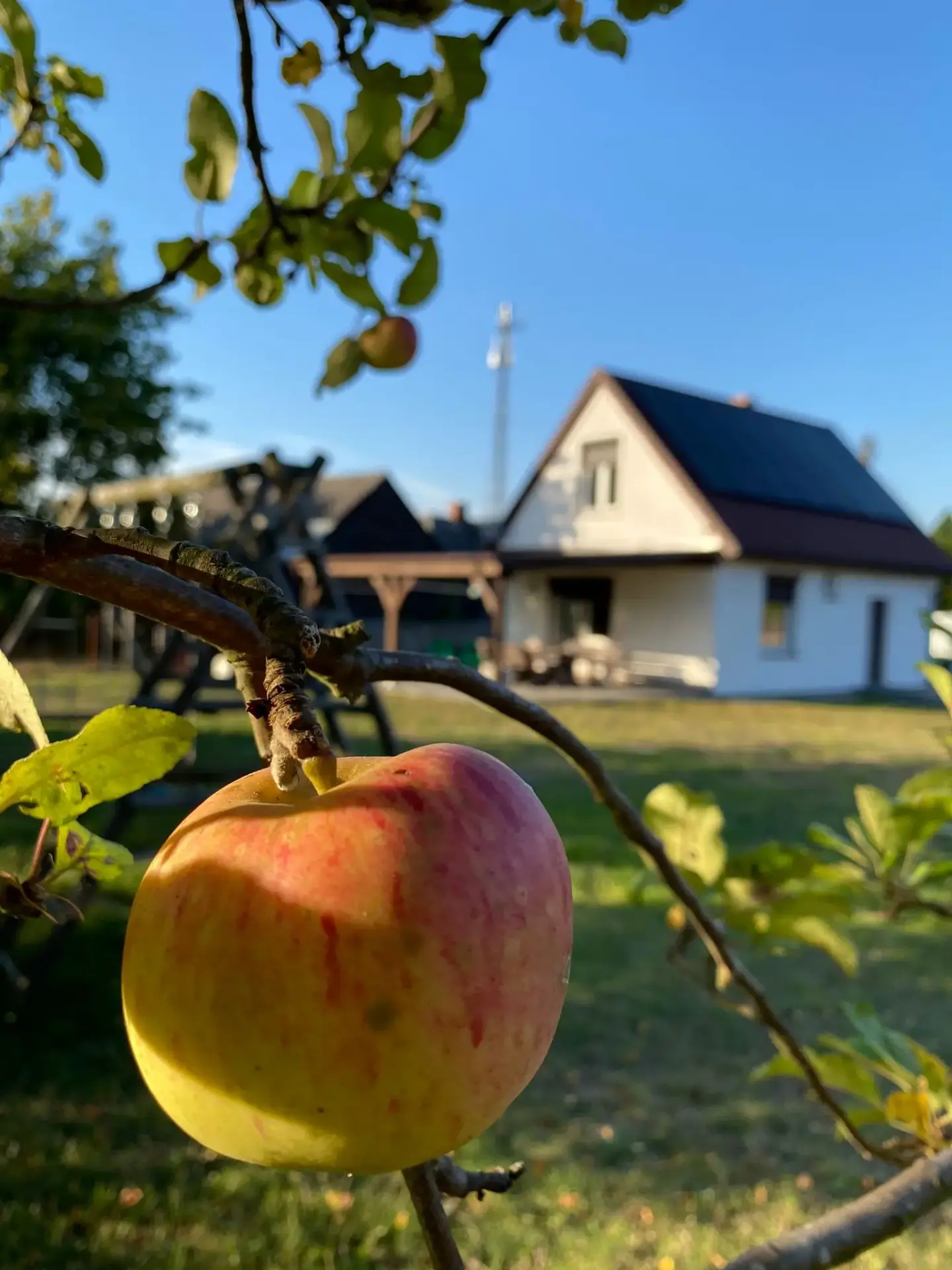 widok na dom do wynajęcia przez firmę PATEX